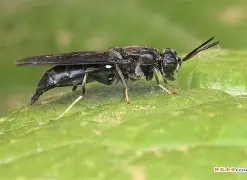 九游娱乐-关于?崻挔m韻棪繶髑??3?-虻黲S1I国的信息